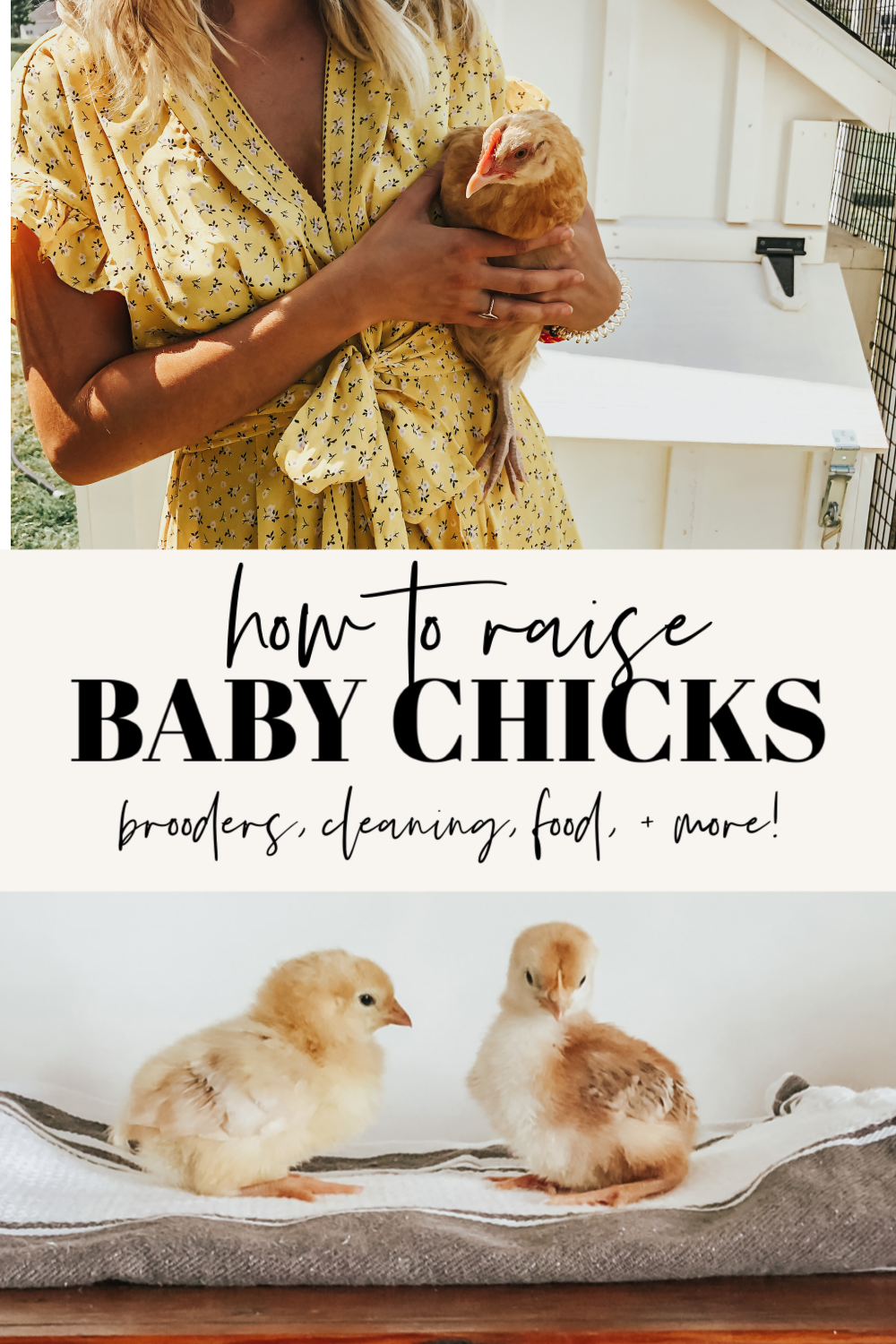 Raising Baby Chicks: A Complete Guide | Becca Bristow